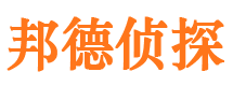 武江市调查公司